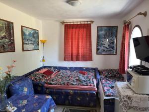 Unique Guest House with wine cellar