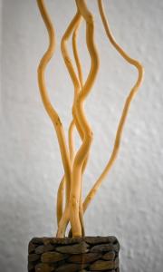 LOsmose - Central & Cosy - Accès Tram Strasbourg - Commerces à Proximité