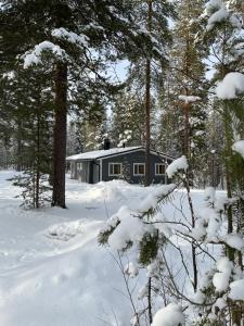 Riekonsoppi, two bedroom private cabin - 4-star hotels in Pyhätunturi