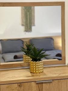 Essence Living by Adriatic Living