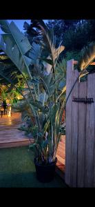 Appart'hotels La Maison Du Soleil : photos des chambres