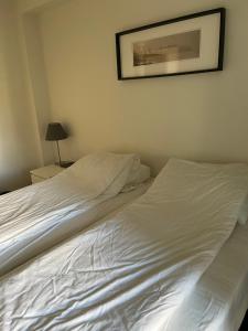 Heart of the Oslo City