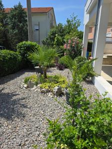 Apartment Knežević 2