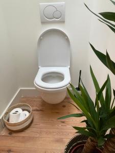 Lovely City Centre Duplex