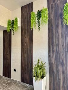 FishLand Seaside Apartments