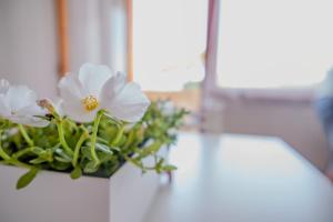 San Giacomo Sweet Home