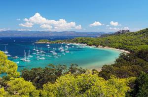 Appartements Tortuga - 3 pieces confortable au centre, clim : photos des chambres