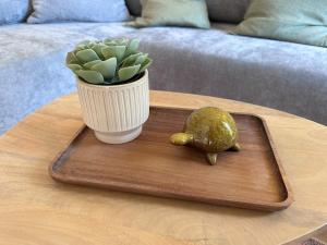 Appartements Tortuga - 3 pieces confortable au centre, clim : photos des chambres