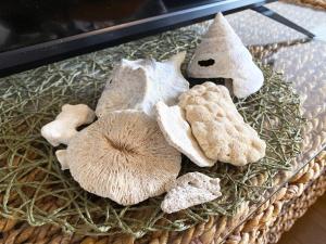 Flat piece chair house - Vacation STAY 10273v