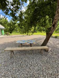 Khata uder the Blue Flower