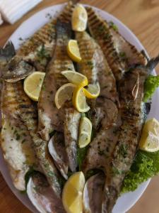 Vila Benvenuto Belsh