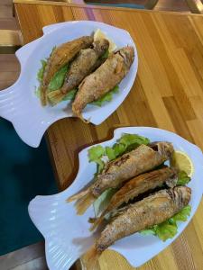 Vila Benvenuto Belsh