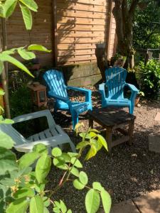 Côté Rive, au bord de la rivière La Moselotte et terrasse