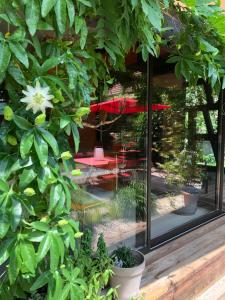 B&B / Chambres d'hotes B&B Le Lodge : photos des chambres