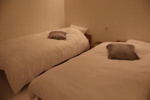 Loisir Tateyama - Vacation STAY 11049v