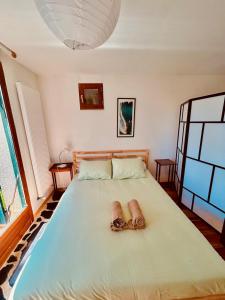 parlementia surf studio