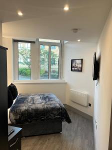1 Bedroom Lavish Studio Apartment