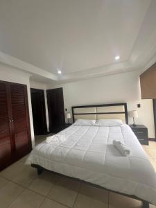 Nice and confortable 2 bedrooms apartment in Escazu