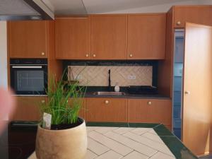 Novo! Jacuzzi, campo e praia