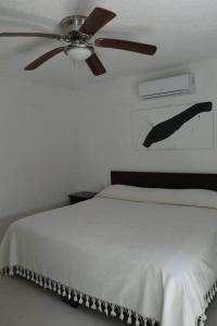 Las Gaviotas Hotel and Suites