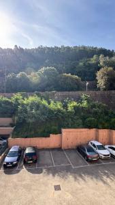 Appartements French Riviera Escape - Theoule Hyper Centre - 2 Terrasses - Parking : photos des chambres