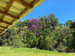 Recanto Florescer ST