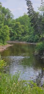 Glamping with the Stars, Aquarius