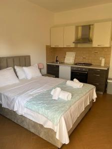 Studio with Terrace room in Apartments with a parking space Sukosan Zadar - 16641