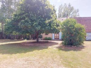 Maisons de vacances Gite chaleureux dans un ancien corps de ferme avec wifi, cheminee et grand jardin a Chateaudun - FR-1-581-71 : photos des chambres
