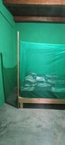 CASA La Palapa Cometa