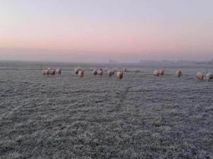 Luxury holiday home surrounded by water and forest
