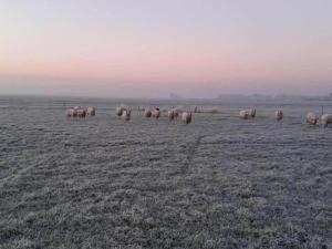 Luxury holiday home surrounded by water