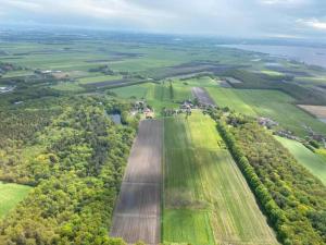 Luxury holiday home surrounded by water and forest