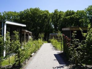 Luxury holiday home surrounded by water and forest