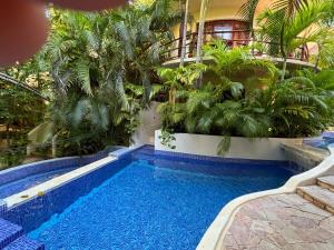 Luxury Seaview 3bed 3 bath Penthouse Playa Centro Private Roof Deck with Plung Pool