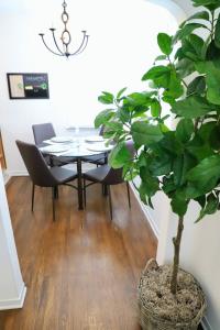 Charming studio city Bungalow