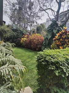 Spacious apartment - San Isidro