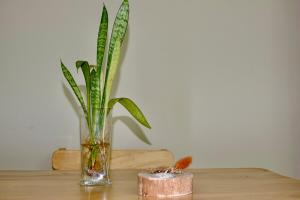 San Cristobal Surf House I