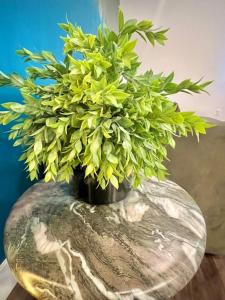 Penthouse with Hollywood Sign View 2 Bedrooms with 3 Beds