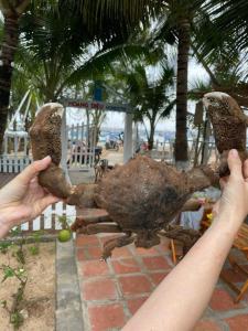 Villa 6 Beds- Phu Quy Island 300m2 with private beach