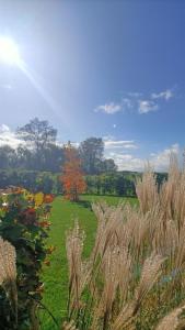 Maisons de vacances La grange des deux pays : photos des chambres