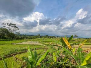 Bilqis Homestay Syariah Mitra RedDoorz