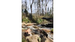 Tiny Retreat by the River by Tiny Away