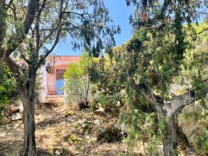 Villa La Petra img40