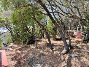 Villa La Petra img47