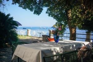 Onyx Apartments 3 & 4