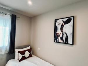 Appartements les colibris : photos des chambres