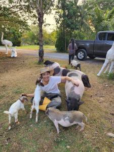 บ้านสวนปรีดา-Preda Garden Home