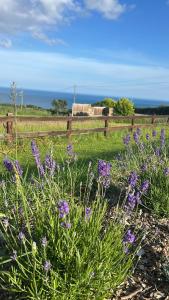 Follies Suites Ballyvoile