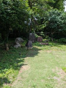 niko villa 伊豆高原Woody棟